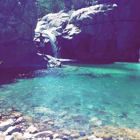 公寓 Au Coeur De Porto-vecchio *